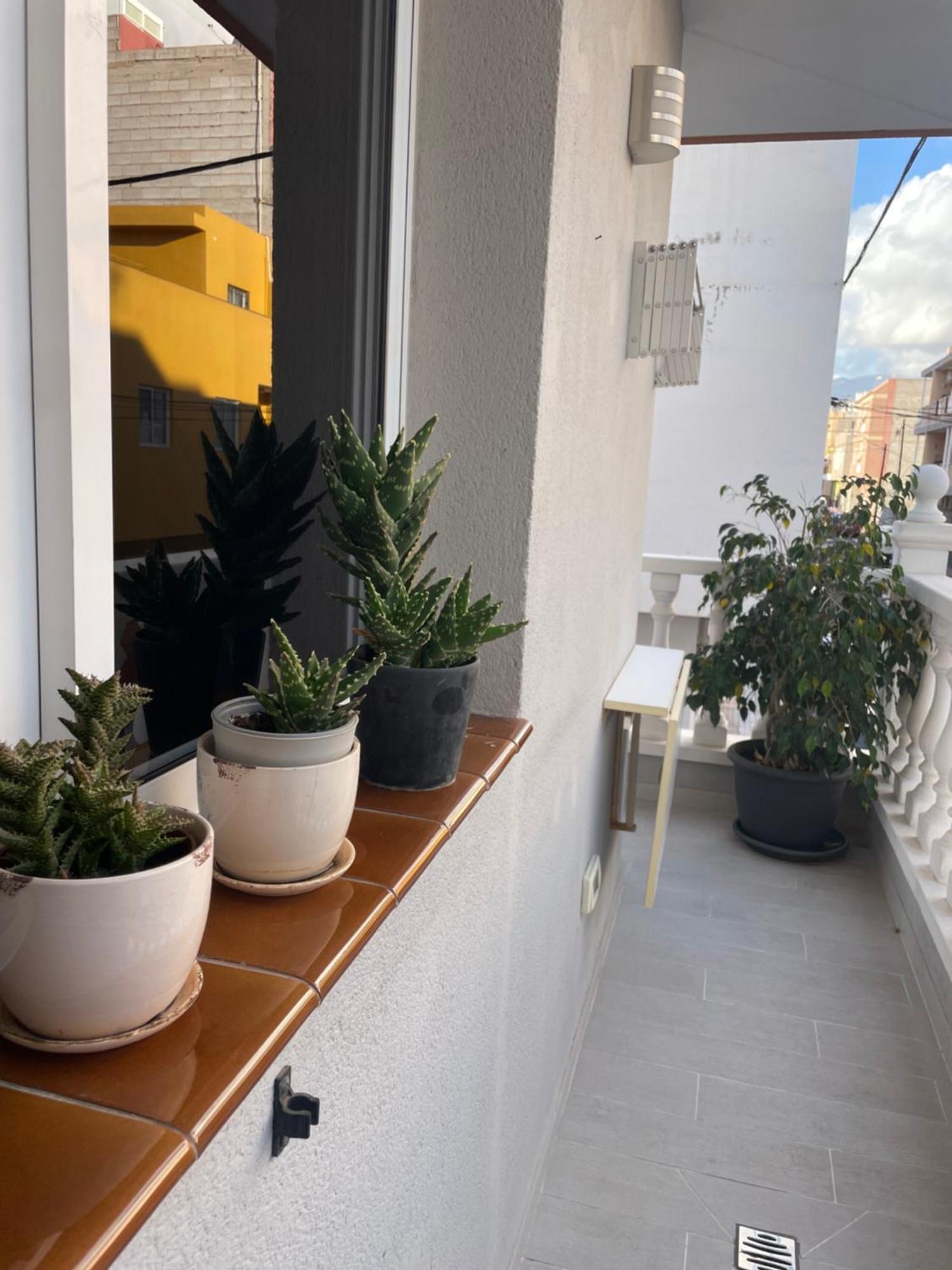 Appartement Rincon De Adam *